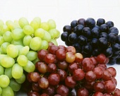 Assorted Bunches of Grapes on White