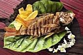 Grilled red snapper