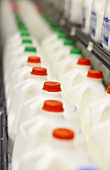Milch in Plastikflaschen im Supermarkt (USA)
