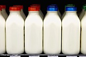 Reihen von Milchflaschen im Supermarkt (USA)