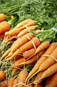 Bunches of Carrots at a Farmers Market