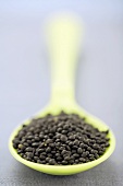 Black lentils on green spoon