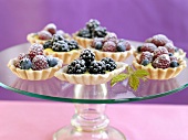 Several berry tarts with vanilla cream and icing sugar