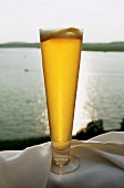 Large glass of light beer with lake in background