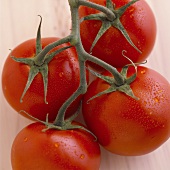 Four vine tomatoes with drops of water (overhead view)