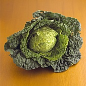 Fresh savoy cabbage on orange background