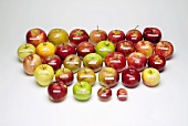 Thirty two different apple varieties with labels