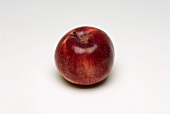 A red apple (variety: Empire)