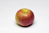 A McIntosh apple