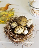 Various types of eggs in an Easter nest