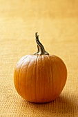 A Single Pumpkin with Stem on an Orange Background