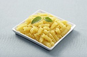 Rotini Pasta on a White Square Plate