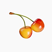 Two Cherries Connected at the Stem on a White Background