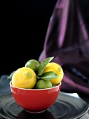 Bowl of Lemons and Limes