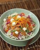 Asian Noodles in Peanut and Tofu Sauce