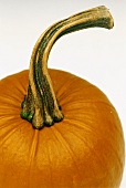 Close up of a Pumpkin