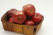Basket of Red Delicious Apples; White Background