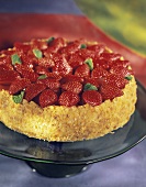 Strawberry Coconut Torte