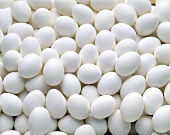 Viele weiße Eier (bildfüllend)