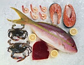 Assorted Fish and Shellfish on Ice