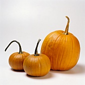 Three Pumpkins; One Larger, Two Smaller; White Background
