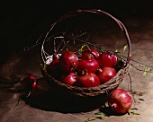 A Basket of Pomegranates