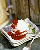 Vanilla Ice Cream with Raspberry Sauce
