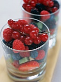 Fruit Salad in a Glass