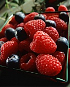 Raspberries and Blueberries in a Basket