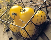 Yellow Tomatoes in a Wire Basket