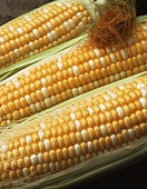 Bi-color Sweet Corn