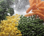 Still Life: Assorted Frozen Vegetables