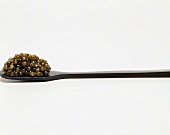 Kaviar auf einem Löffel