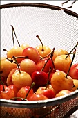 Montmorency Cherries in a Colander