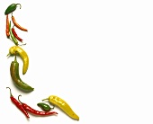 Assorted Chili Peppers
