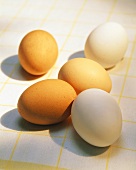 Brown and White Eggs