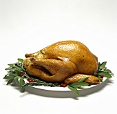 Roasted Turkey on Platter (USA)