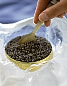 Eine Dose Beluga Kaviar mit Löffel auf Eis