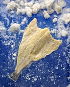 Salt Cod
