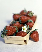 Strawberries with strawberry flowers in chip basket