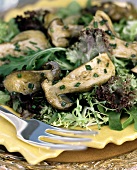 Mixed salad leaves with fried ceps
