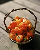 Red and yellow peppers in basket