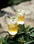 Peppermint tea with ice cubes and fresh mint