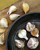 Various varieties of garlic in and beside pan
