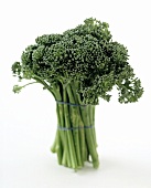 Ein Bund Mini-Brokkoli (bzw. Baby-Brokkoli, Broccolini)