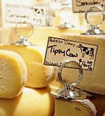 Assorted Artisan Cheese at the Market