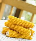 Five Ears of Popping Corn Stacked
