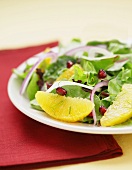 Salad with Pomegranate Seeds and White Grapefruit Sections