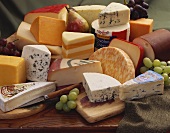 Viele verschiedene Käsesorten