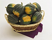 Several Acorn Squash in a Basket